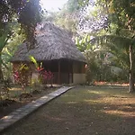 Cohune Palms River Cabanas