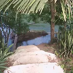 Cohune Palms River Cabanas