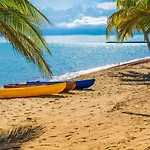 Jungle Jeanie\'S By The Sea