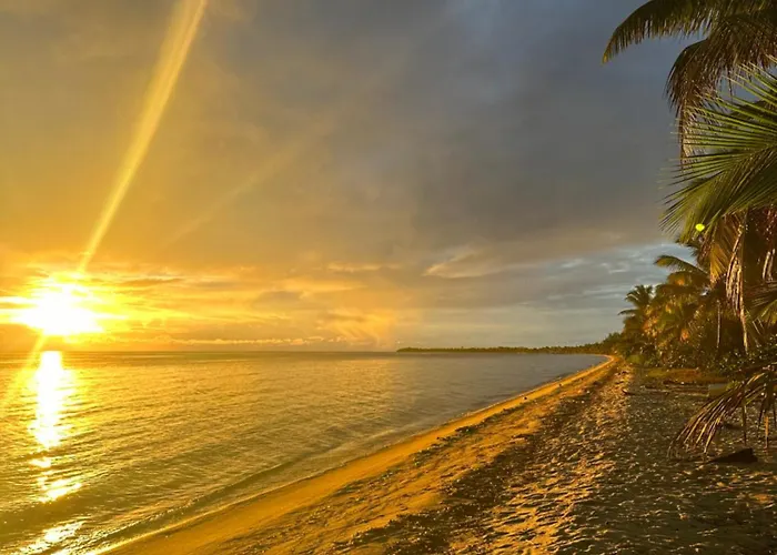 All Seasons Belize