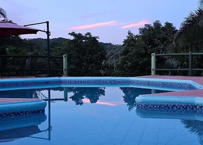 Oasis - Formerly Inn The Bush