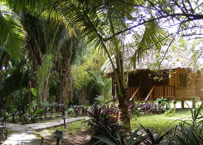 Cohune Palms River Cabanas