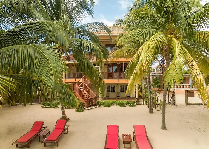 Buttonwood Belize