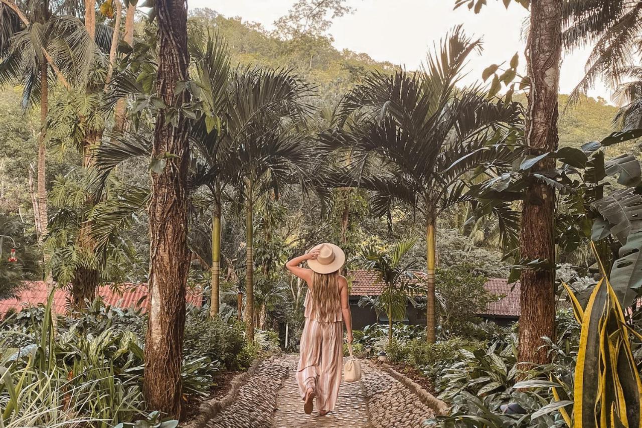 Lodge Sweet Songs Jungle *