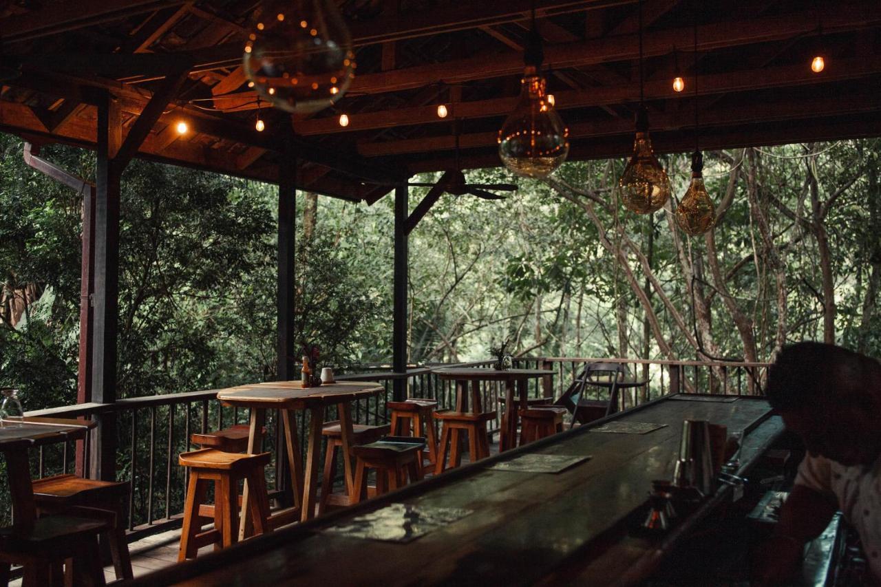 Sweet Songs Jungle Lodge San Ignacio