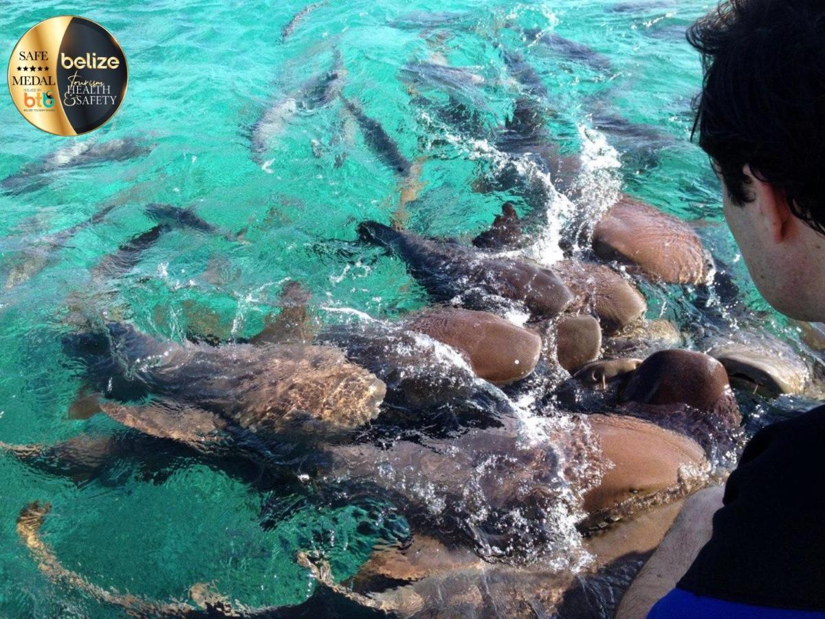 Hotel Portofino Resort-an Authentic Island Escape! San Pedro (Ambergris Caye)
