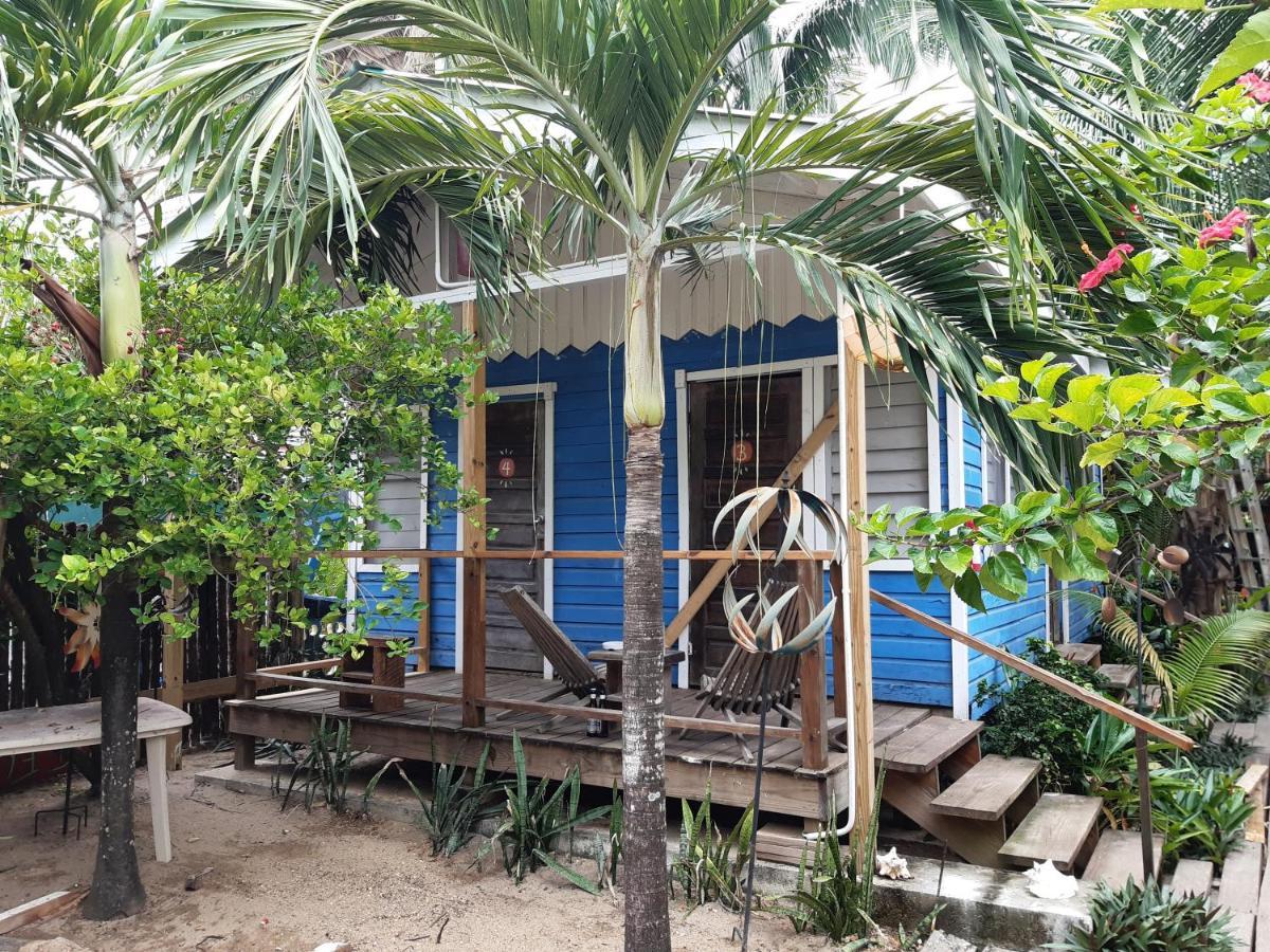 Hostel The Funky Dodo Backpackers Hopkins