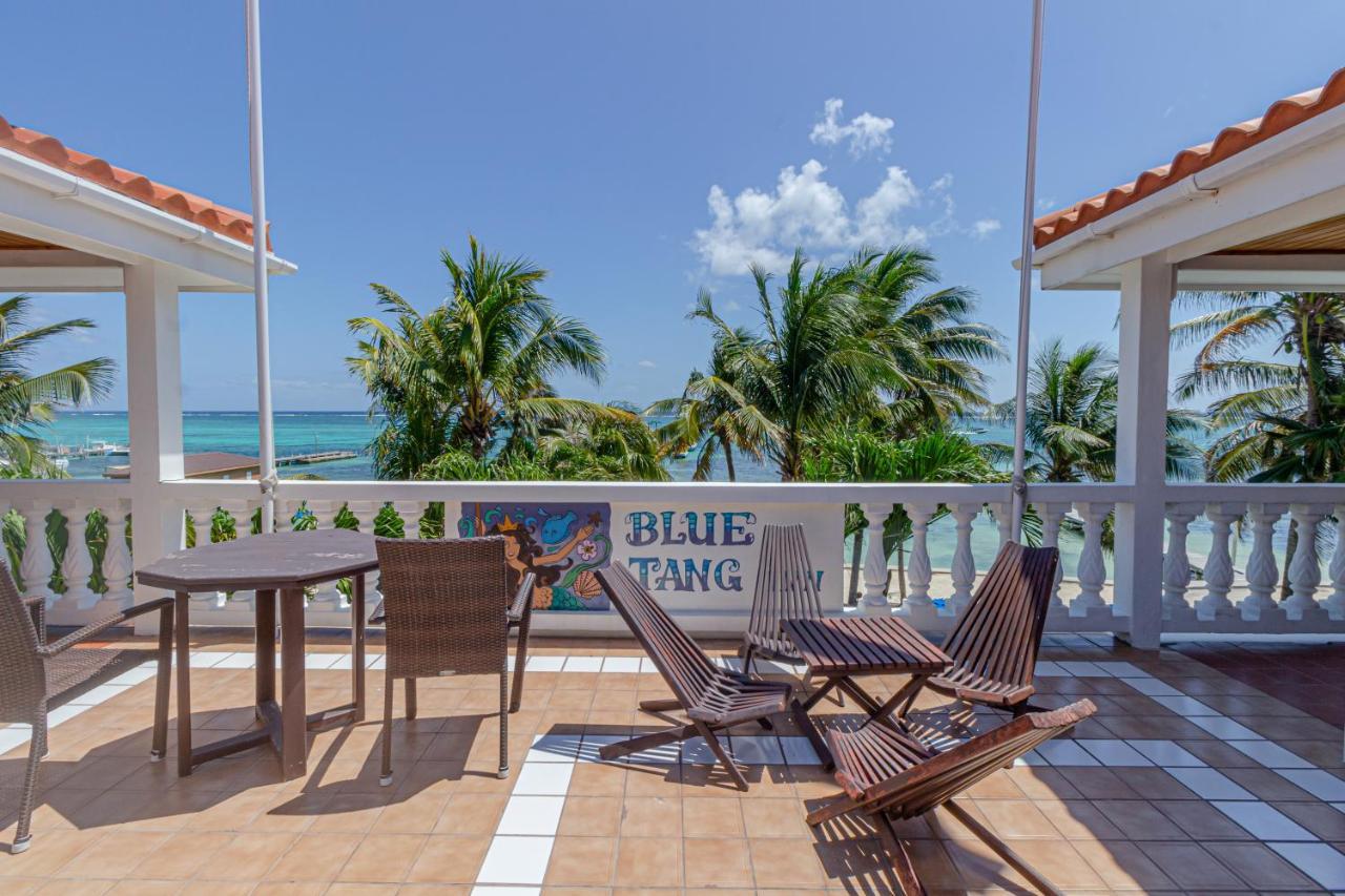 Hotel Blue Tang 3*
