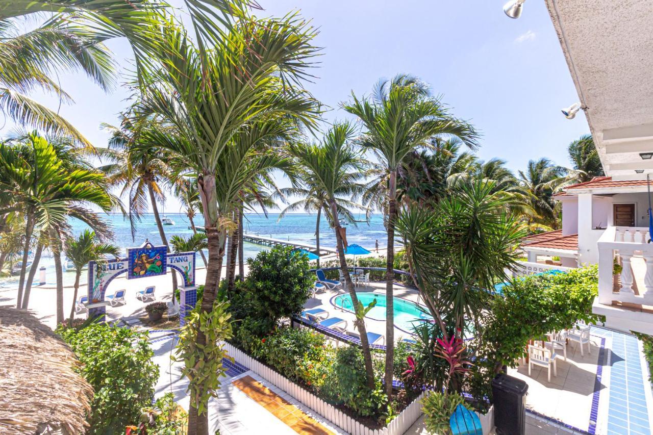 Blue Tang Hotel San Pedro (Ambergris Caye)