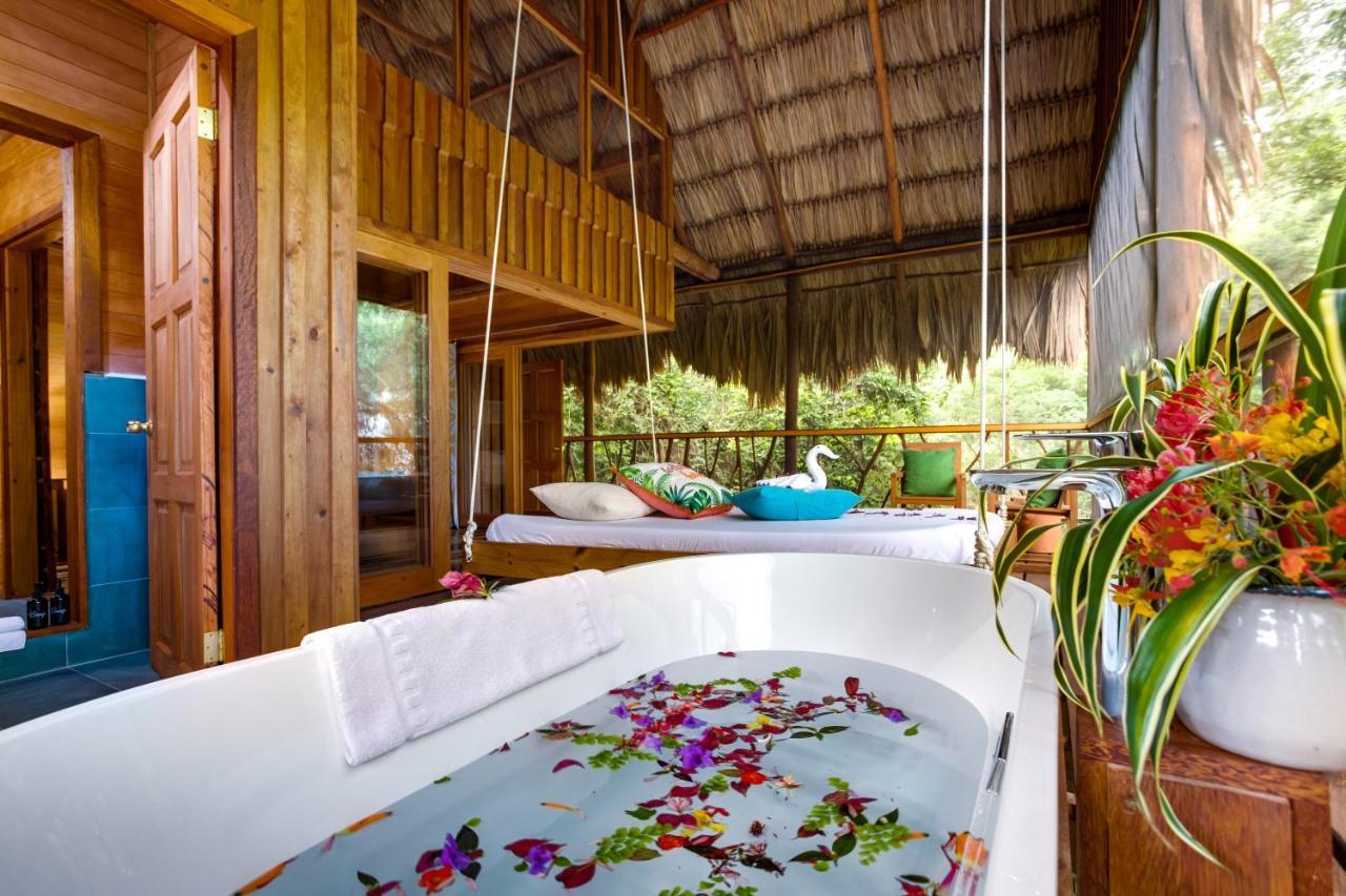 Sweet Songs Jungle Lodge San Ignacio