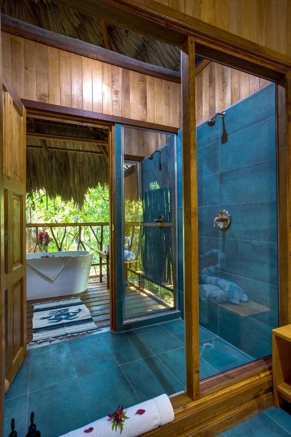 Sweet Songs Jungle Lodge *