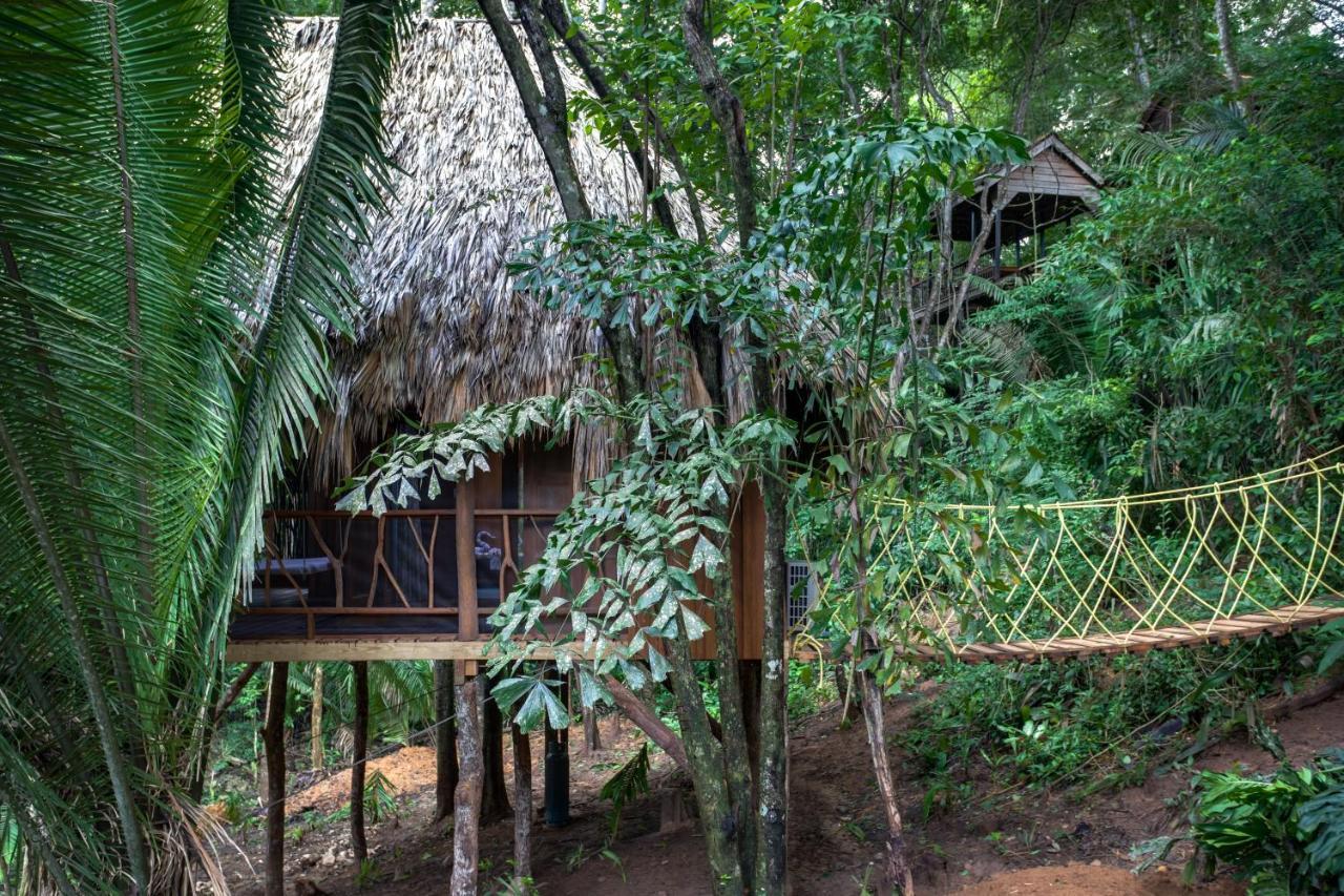 Lodge Sweet Songs Jungle