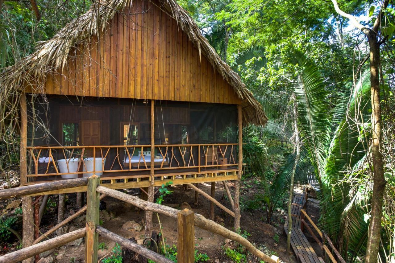 Sweet Songs Jungle Lodge San Ignacio