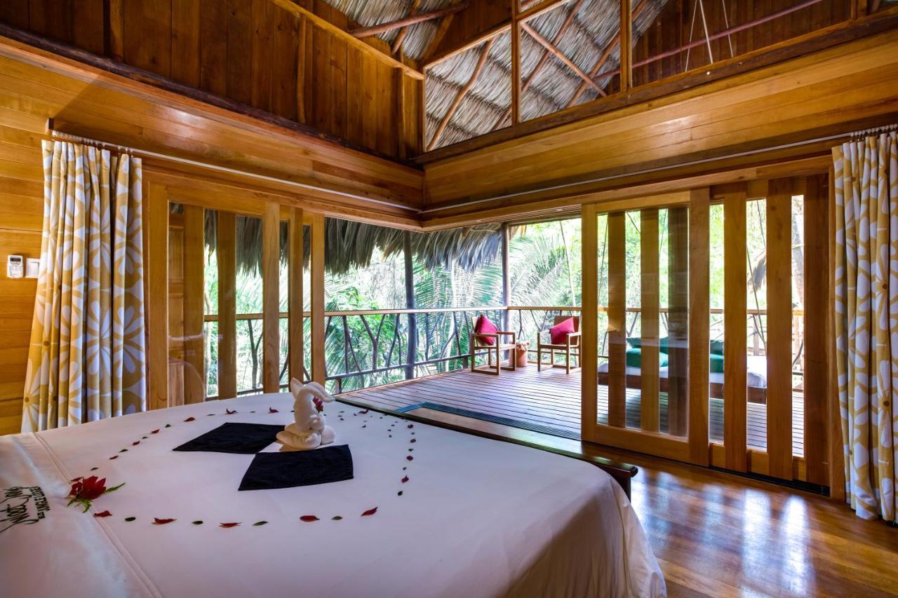 Sweet Songs Jungle Lodge