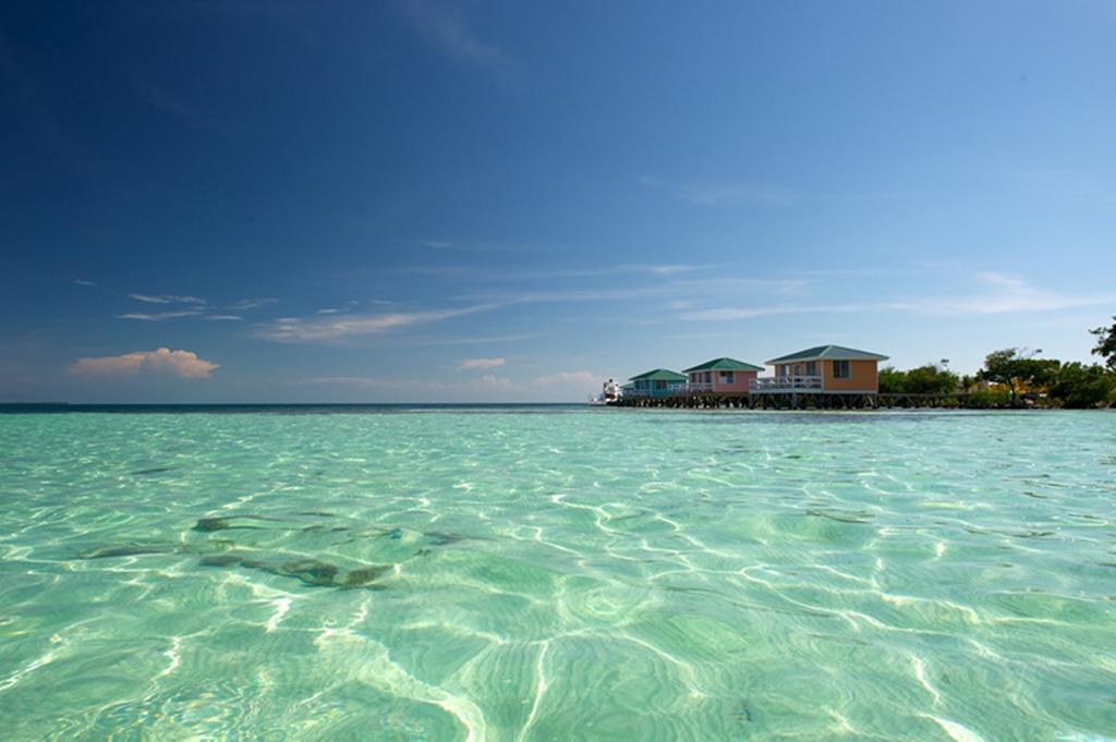 Fantasy Island Eco