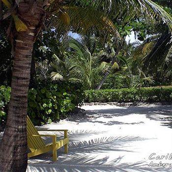 Caribbean San Pedro (Ambergris Caye)
