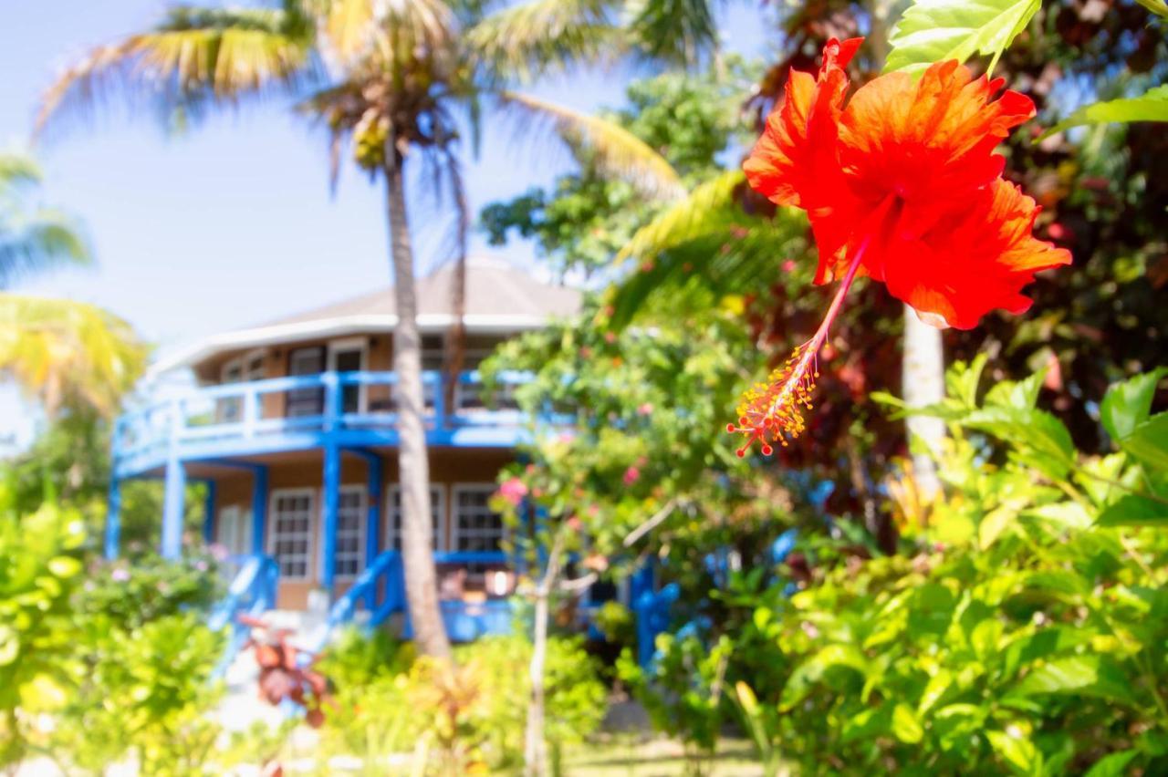 White Sands Cove 3*