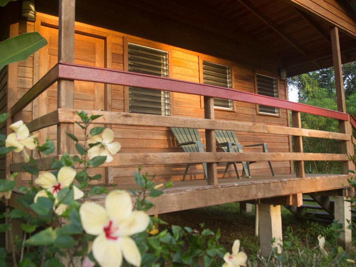 Tanager Rainforest Resort Big Falls
