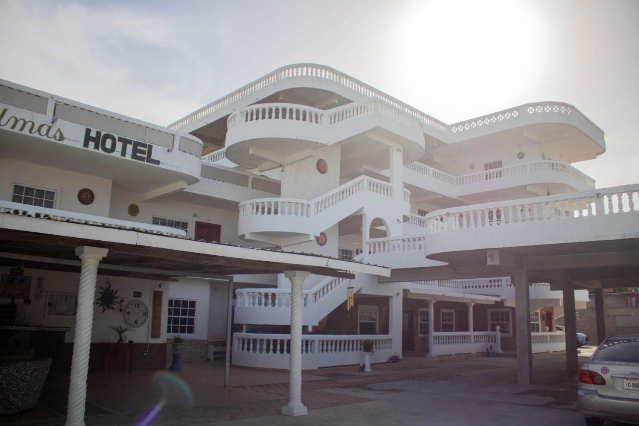 Hotel Palmas