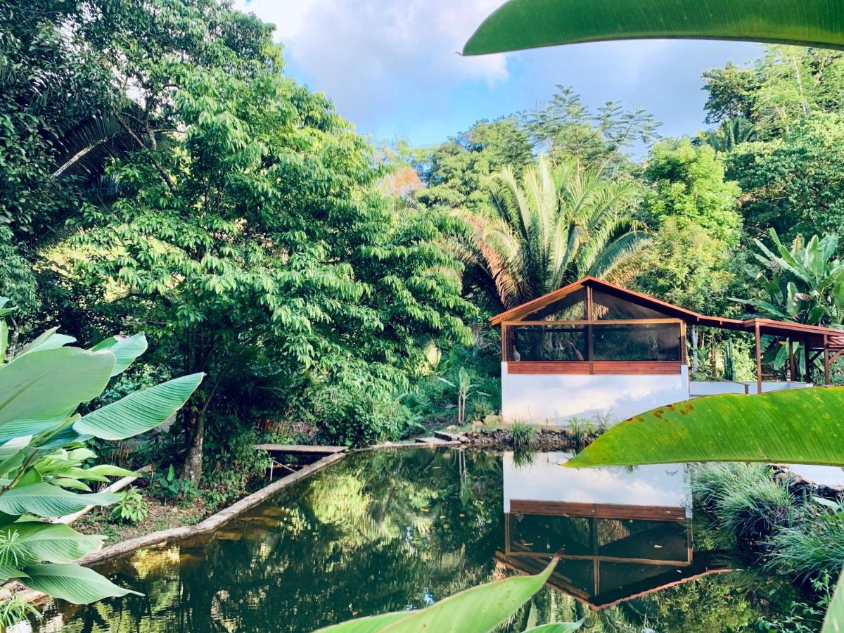 Sattva Land Resort