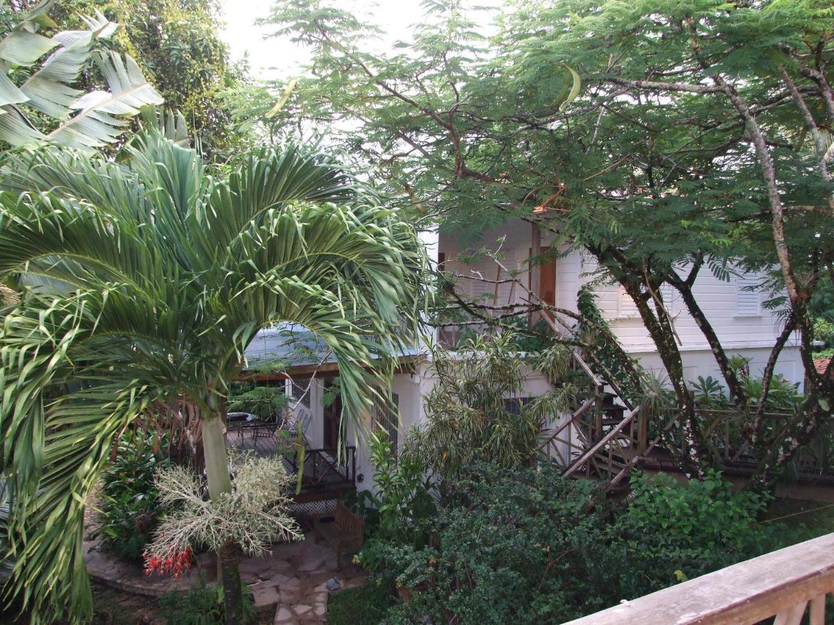 Bluebelize Aparthotel Punta Gorda