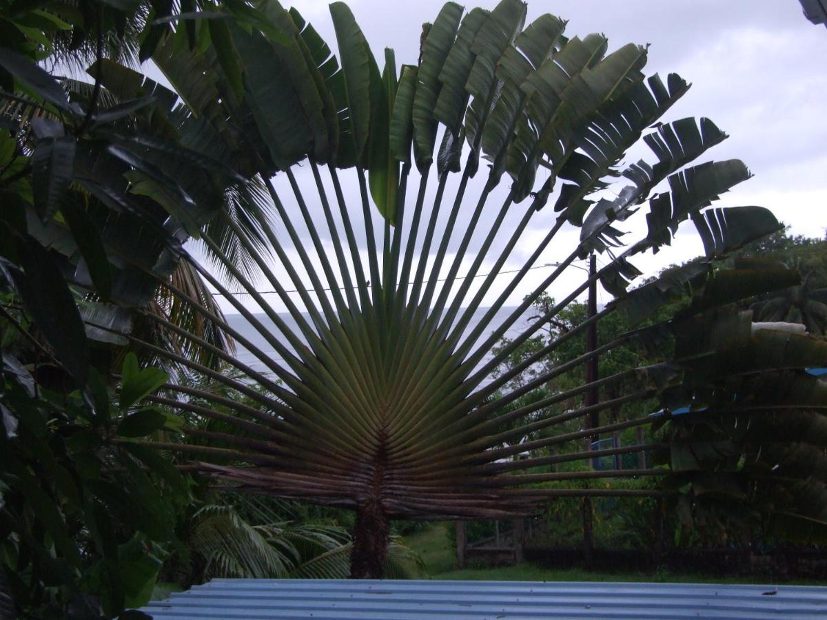 Bluebelize Aparthotel