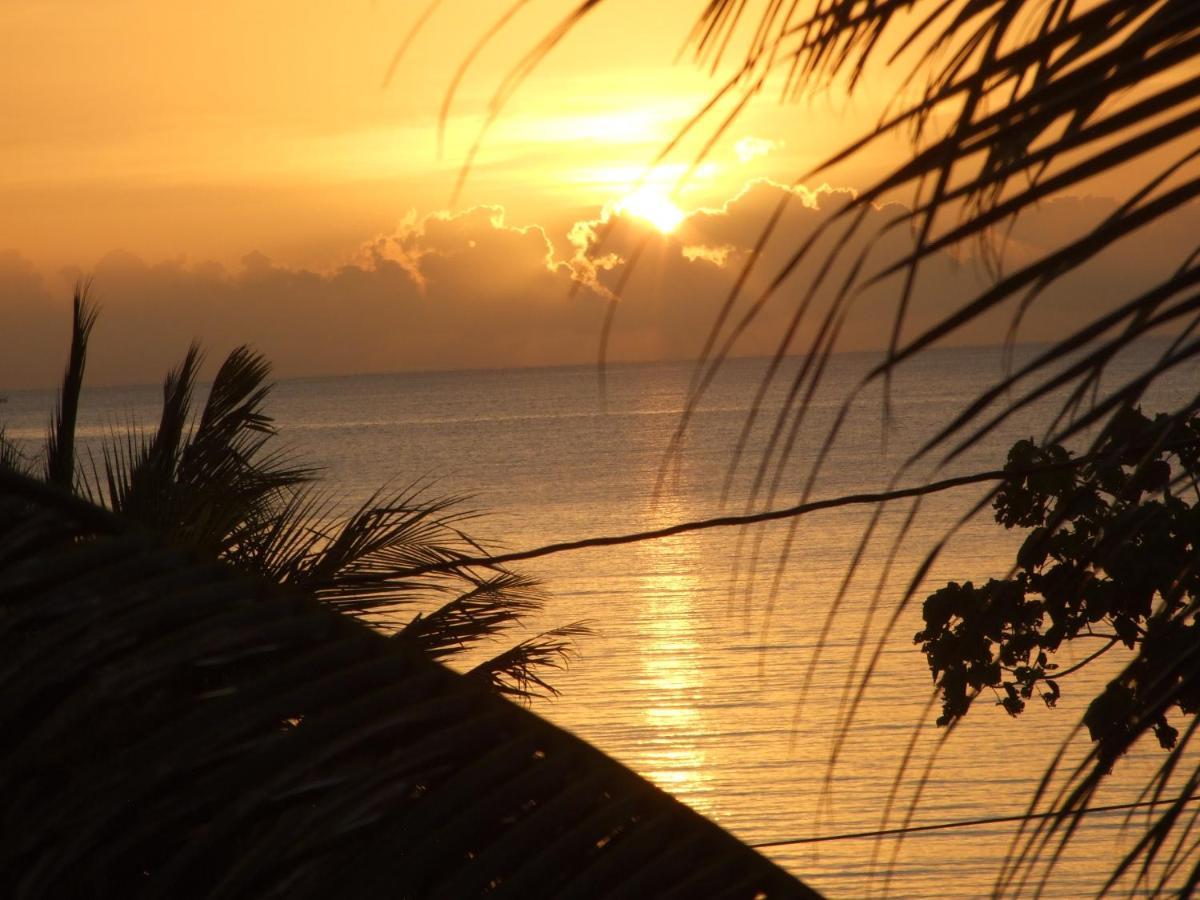 Aparthotel Bluebelize Punta Gorda