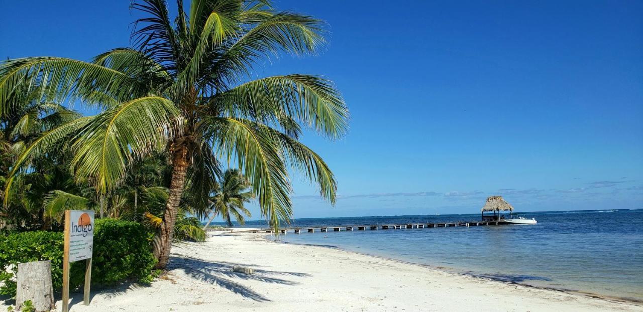 Apartment Indigo Belize 4b *