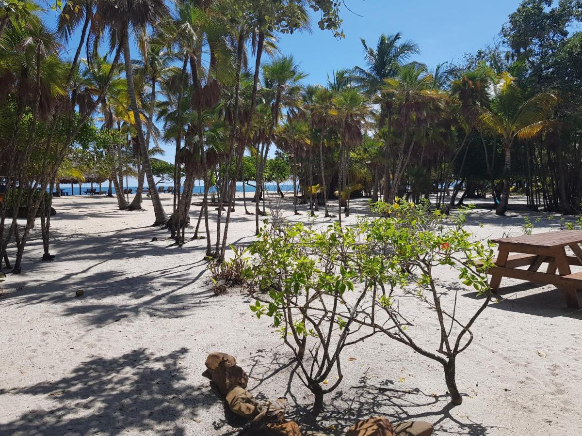 Hotel Wild Orchid Placencia