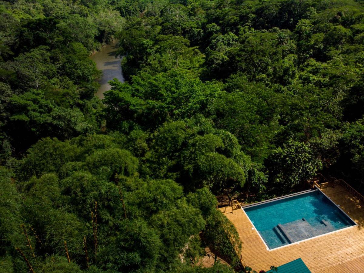 Sweet Songs Jungle San Ignacio