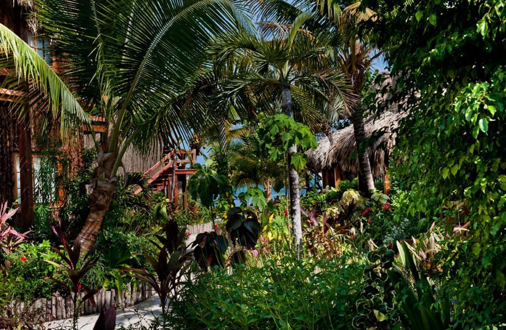 Ramon's Village Resort 4*