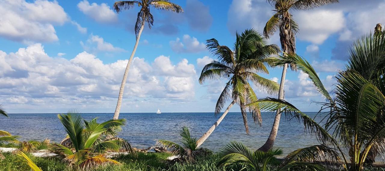 Resort Royal Caribbean San Pedro (Ambergris Caye)