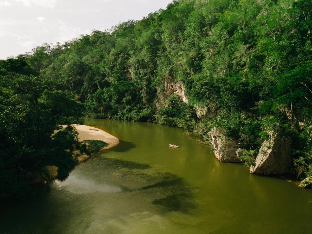 Sweet Songs Jungle San Ignacio