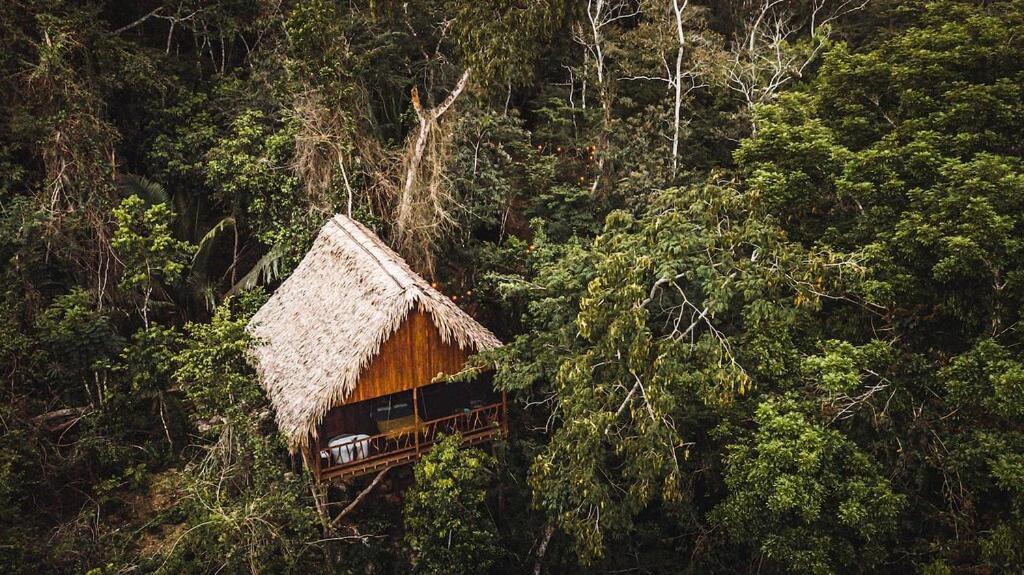Sweet Songs Jungle San Ignacio