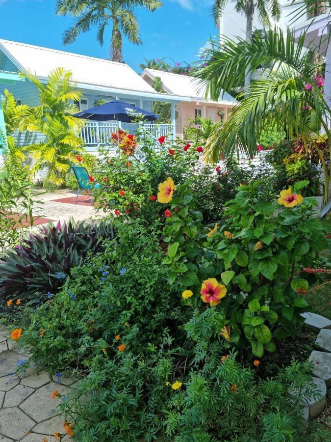 Harbour View Boutique & Yoga Retreat Belize City