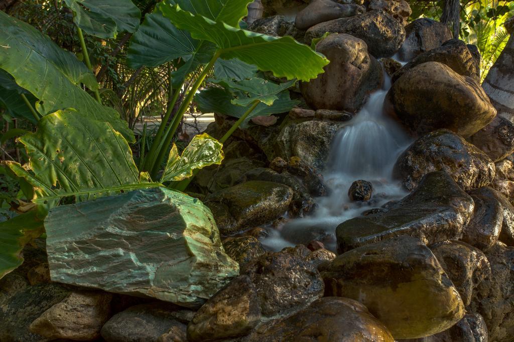 Xanadu Island Resort San Pedro (Ambergris Caye)