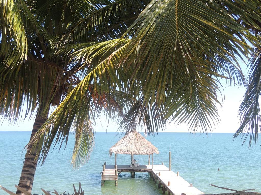 Parrot Cove Hopkins