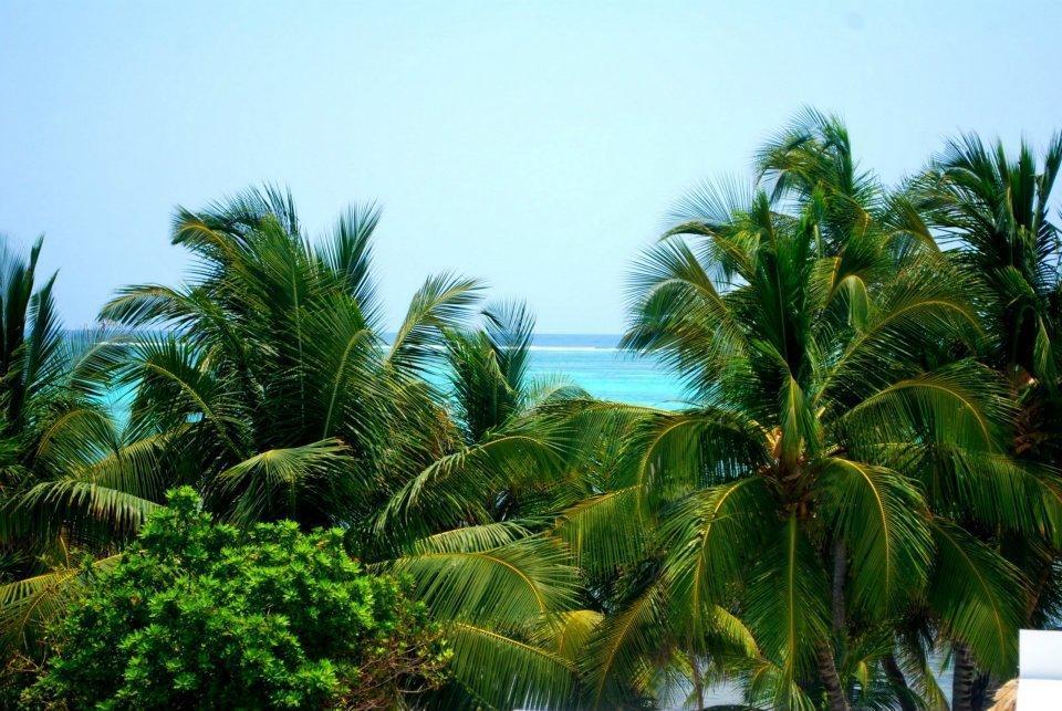 La Perla Del Caribe Villa *