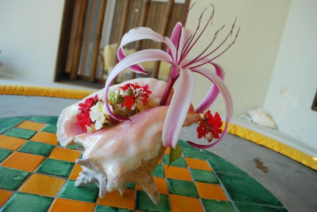 Villa La Perla Del Caribe San Pedro (Ambergris Caye)