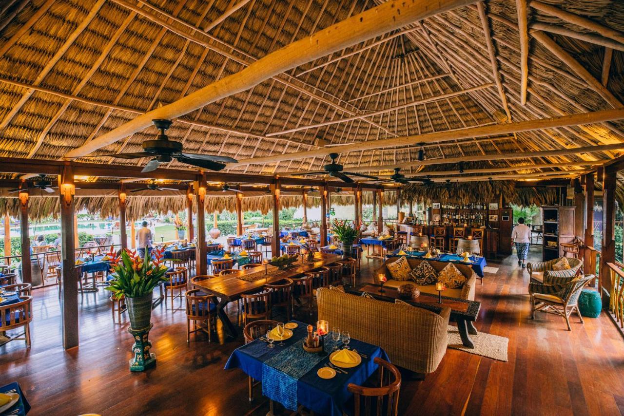 Turtle By Francis Ford Coppola Resort