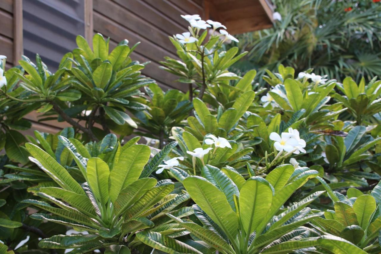 Holiday home Amanda's Place Casa Amancer - Sea View, Pool And Tropical Garden *
