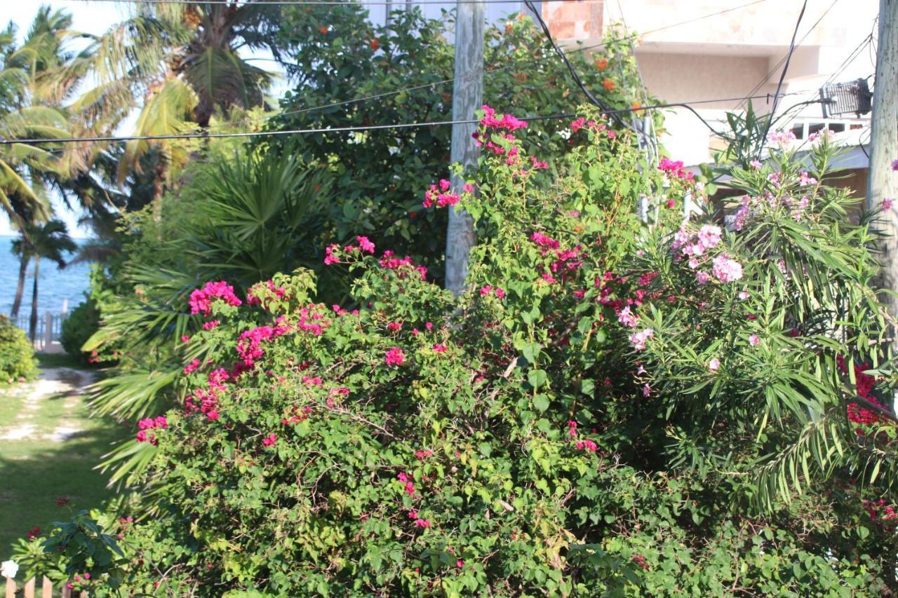 Amanda's Place Casa Amancer - Sea View, Pool And Tropical Garden Holiday home Caye Caulker
