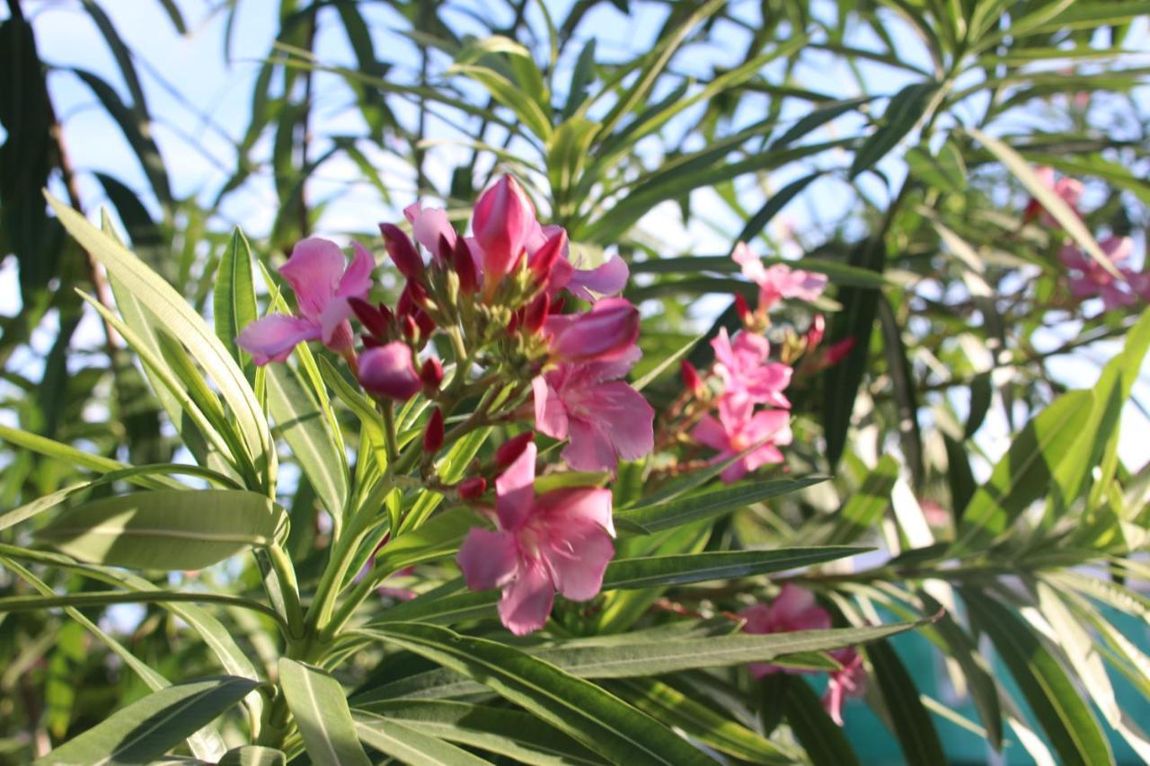Amanda's Place Casa Amancer - Sea View, Pool And Tropical Garden Holiday home