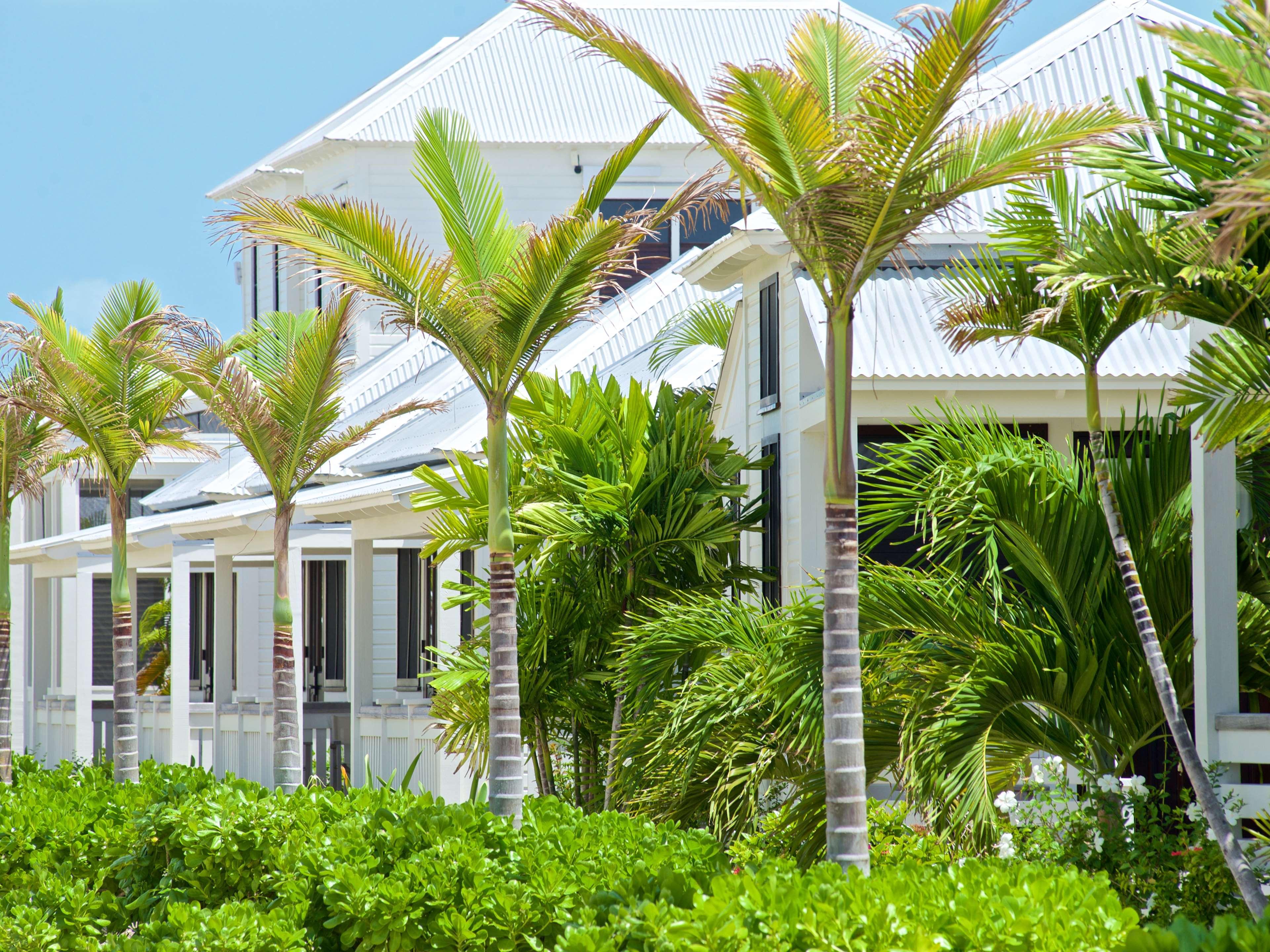Resort Mahogany Bay And Club, Curio Collection 4*