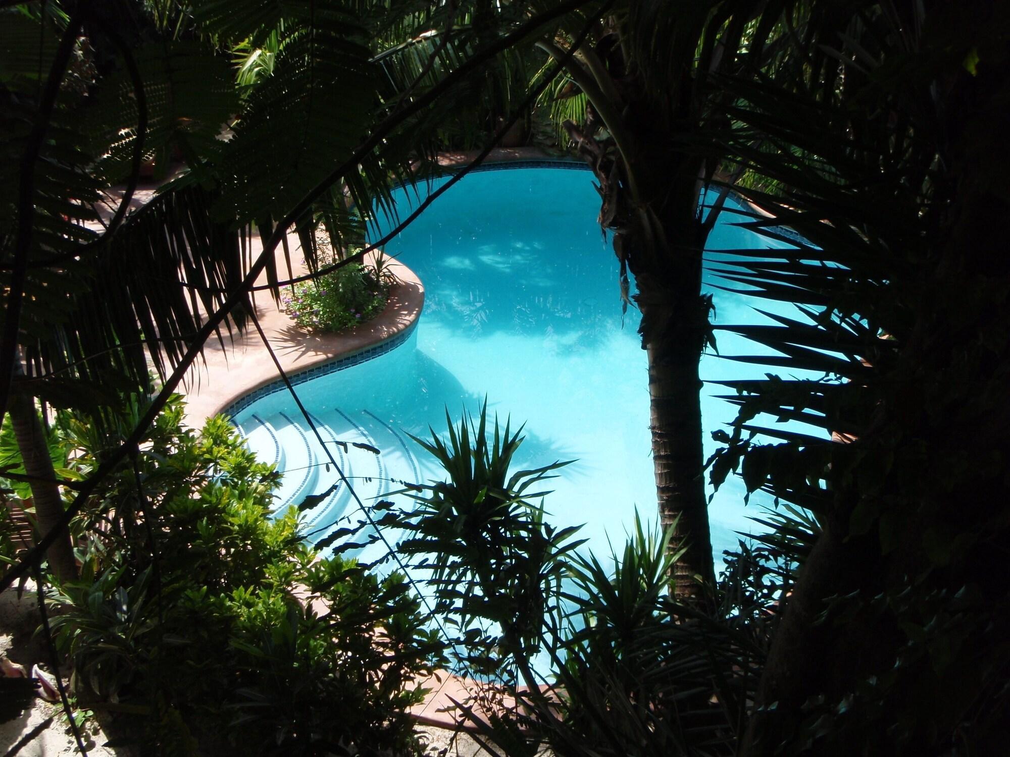 The Palms Oceanfront Aparthotel