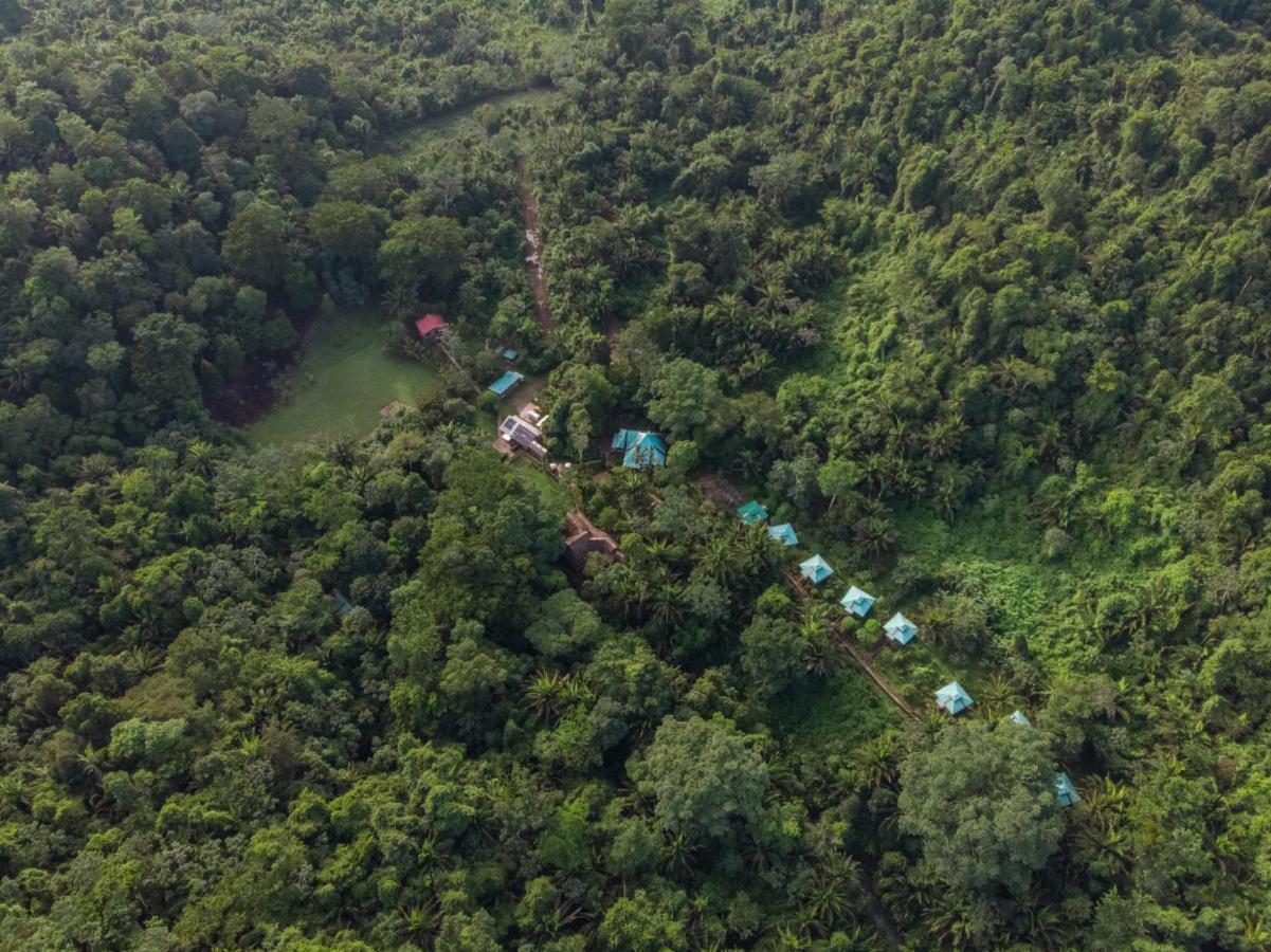 Resort Jaguar Creek 2*