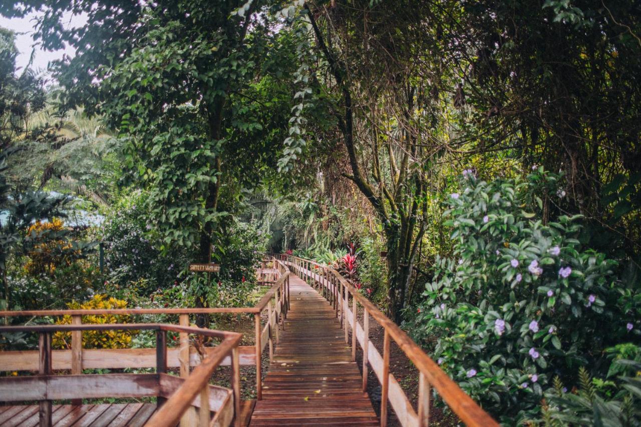 Resort Jaguar Creek