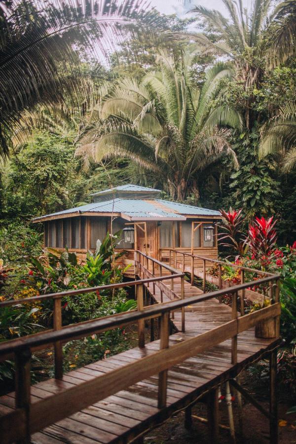 Resort Jaguar Creek Good Living Camp