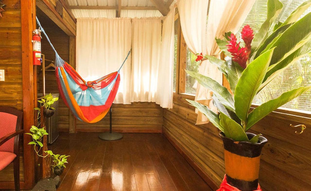 Resort Jaguar Creek Good Living Camp
