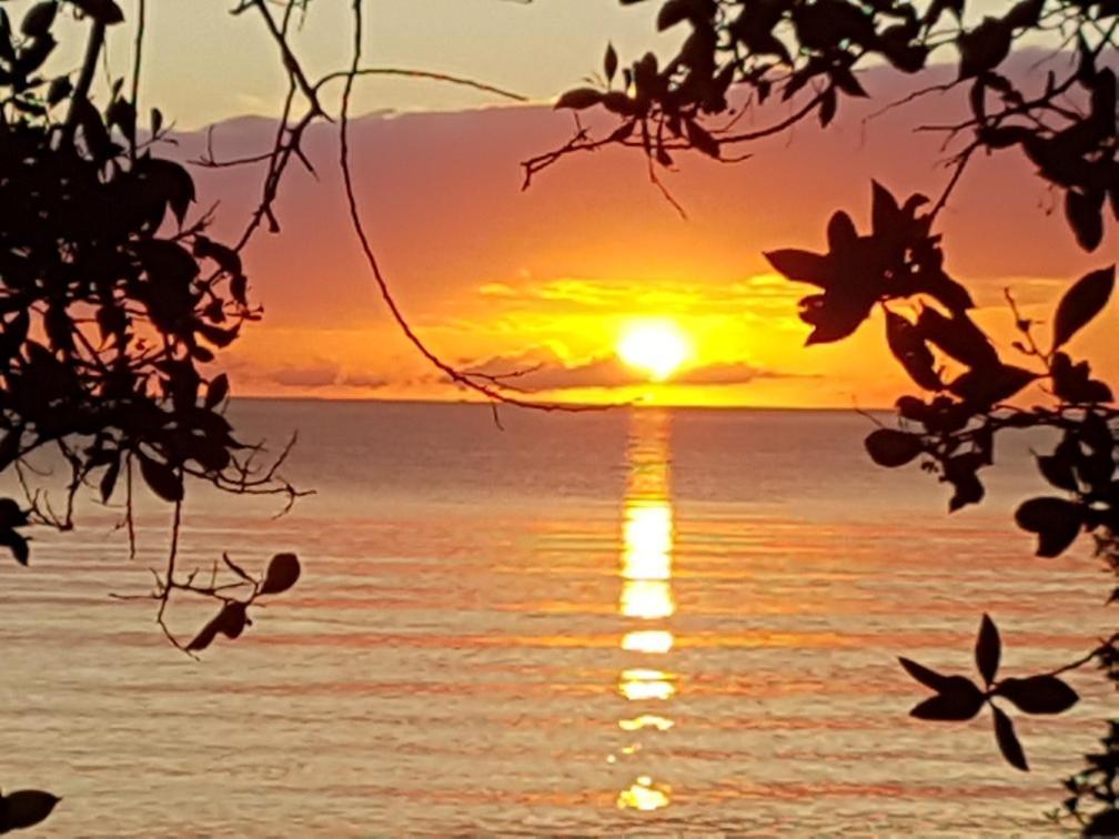 Hotel Beya Punta Gorda